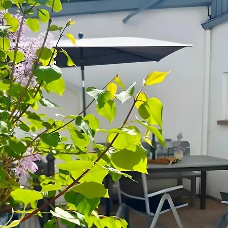 Refugium Zwischen Rhein Und Reben Apartment *