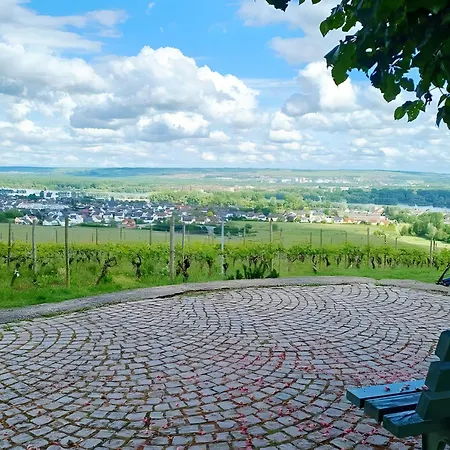 Refugium Zwischen Rhein Und Reben