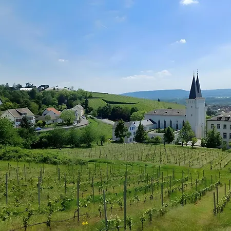 Refugium Zwischen Rhein Und Reben Lejlighed Oestrich-Winkel
