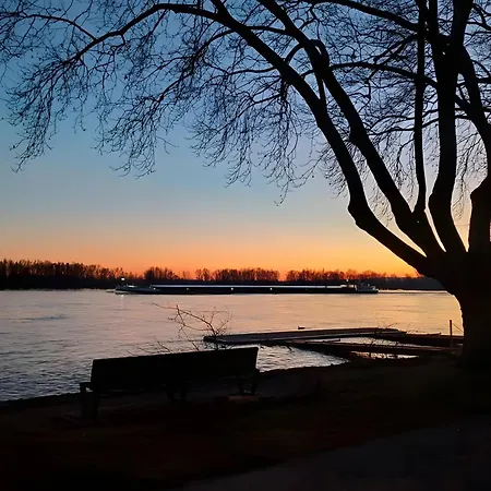 Refugium Zwischen Rhein Und Reben
